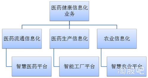 無(wú)競(jìng)爭(zhēng)對(duì)手的細(xì)分領(lǐng)域龍頭 軟件服務(wù)行業(yè)的廣闊發(fā)展空間
